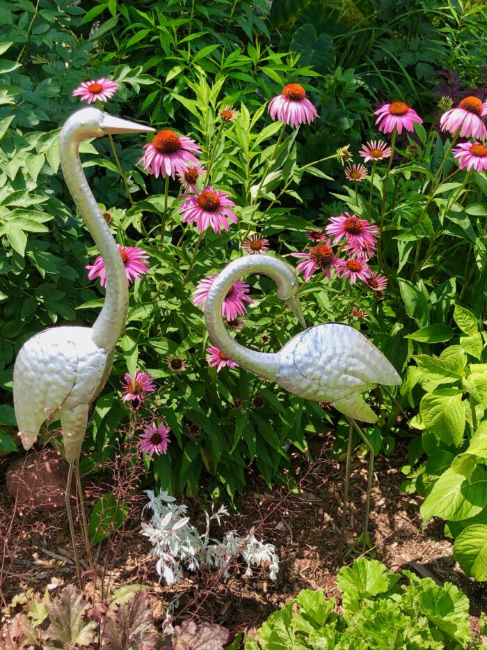 Echinacea purpurea with garden sculptures.