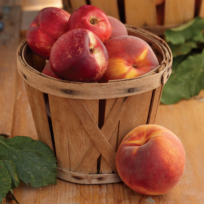 https://images.finegardening.com/app/uploads/2022/04/04164652/FGSIP44-peaches-nectarines-main-700x700.jpg