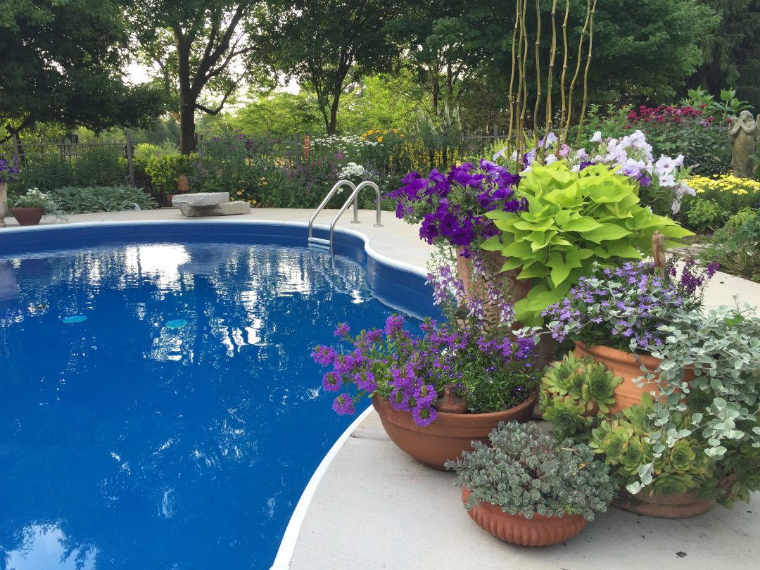 Heidis Poolside Garden - FineGardening