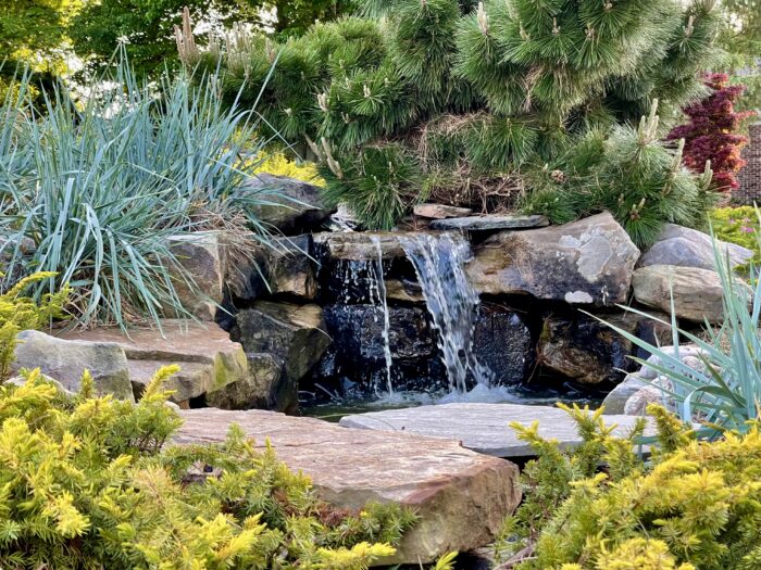 garden pond waterfall