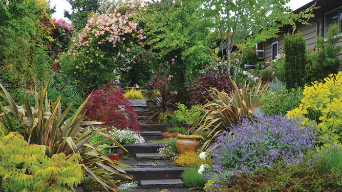 garden in the Pacific Northwest