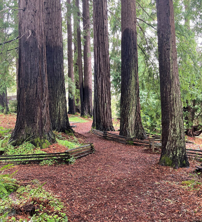 Regional Parks Botanical Gardens