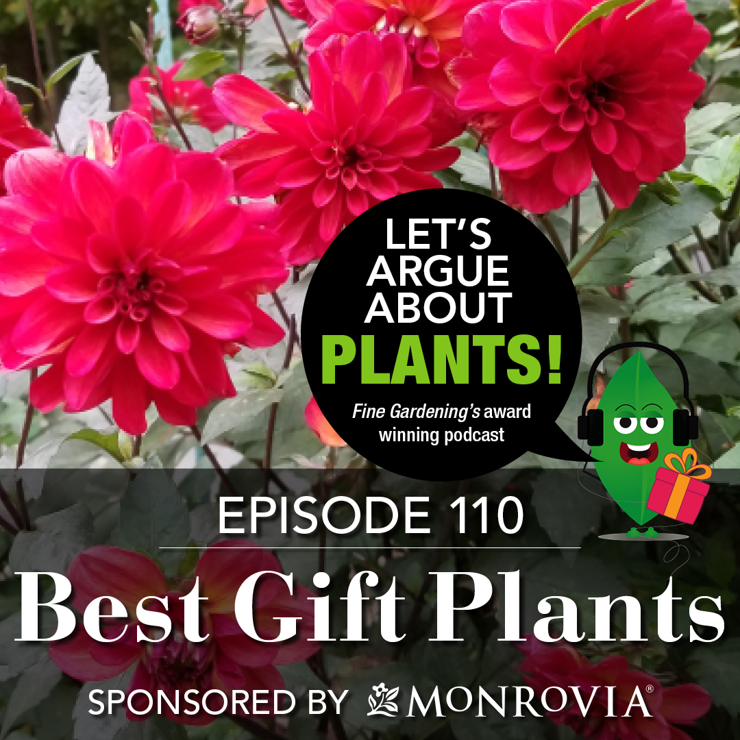 Episode 110: Best Gift Plants