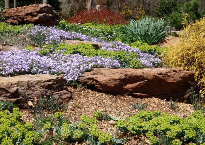 rock garden