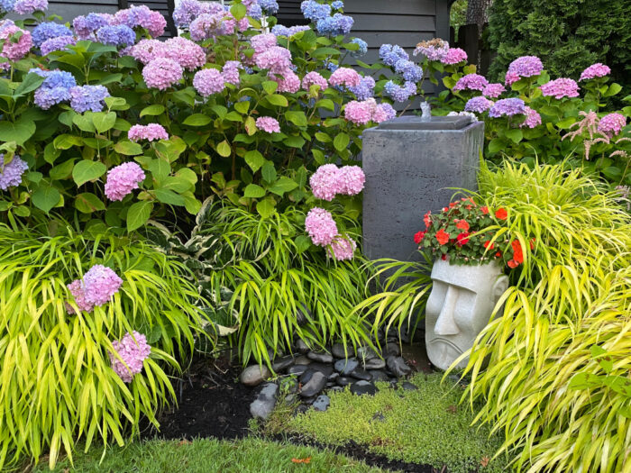 water fountain surrounded by hydrangeas and ornamental grass