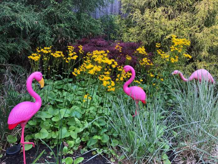 garden bed with flamingo garden art