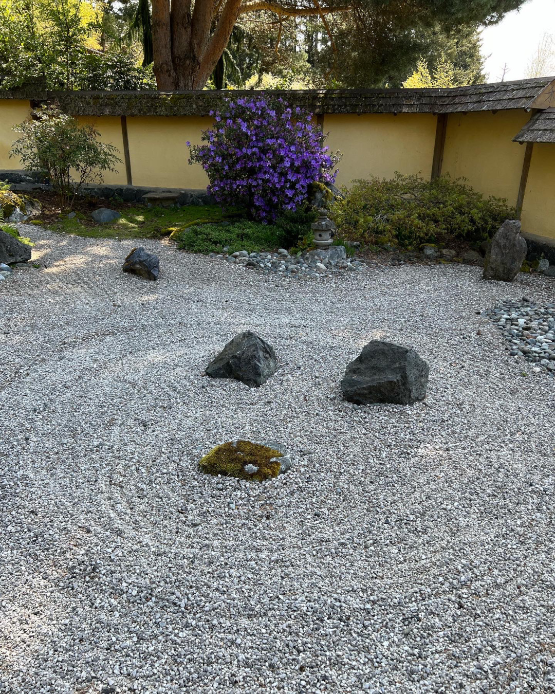 Takata Japanese Garden / Zen Garden - Horticulture Centre of the Pacific