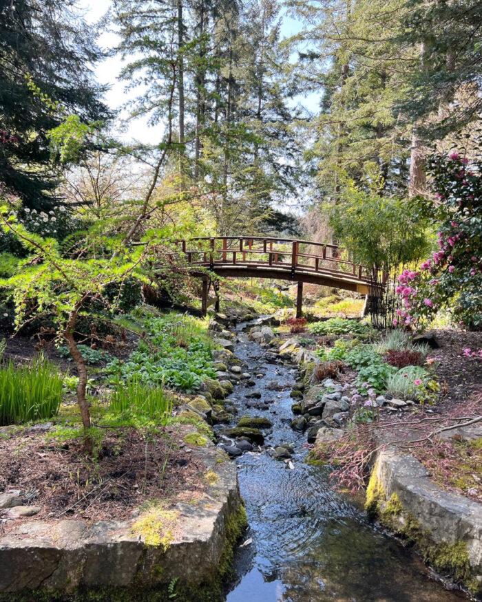 bridge over small stream cutting through the garden