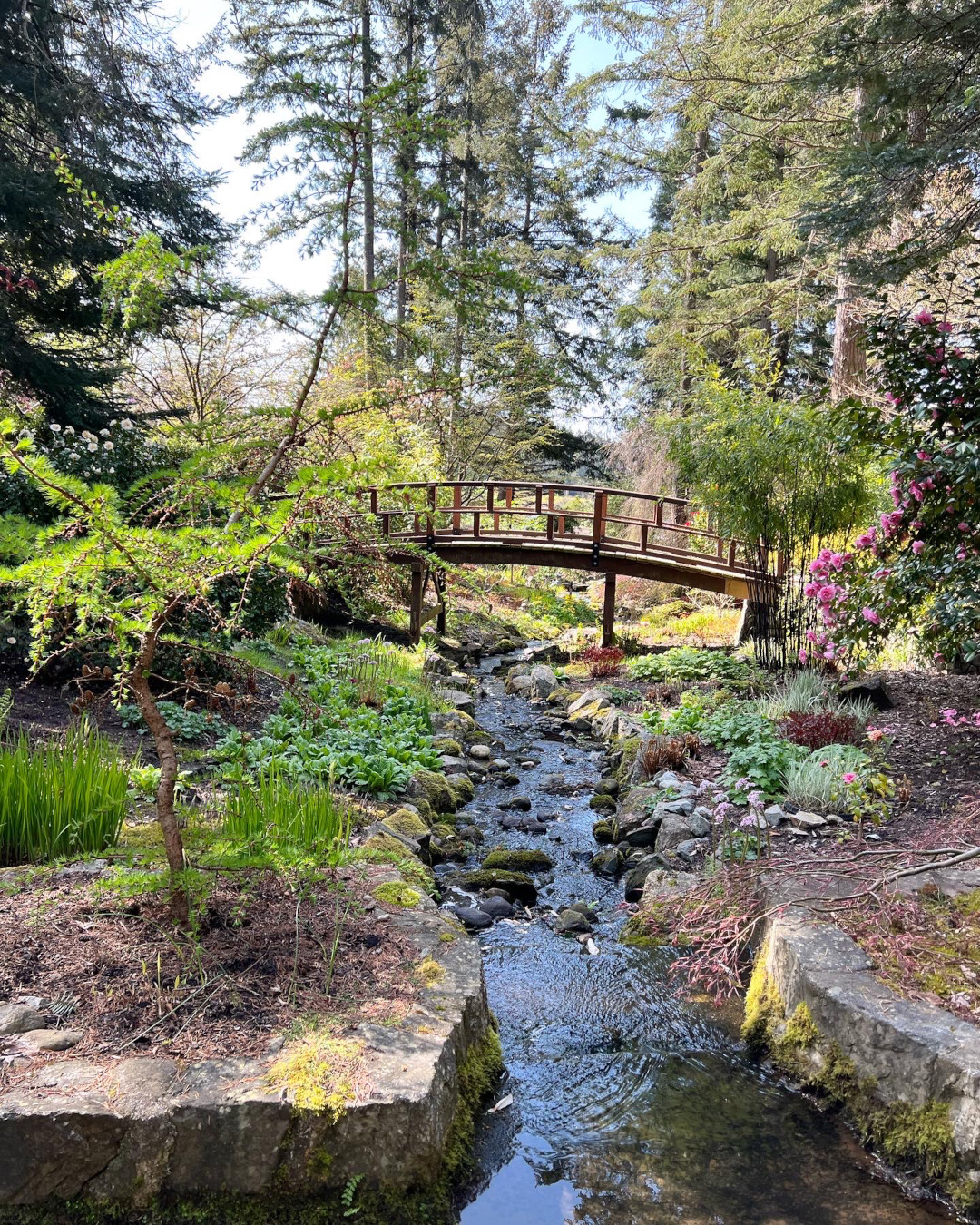 Takata Japanese Garden / Zen Garden - Horticulture Centre of the Pacific