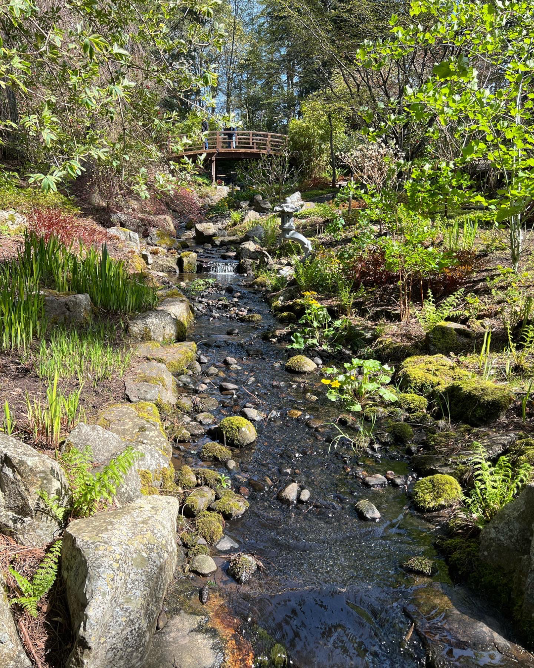 Takata Japanese Garden / Zen Garden - Horticulture Centre of the