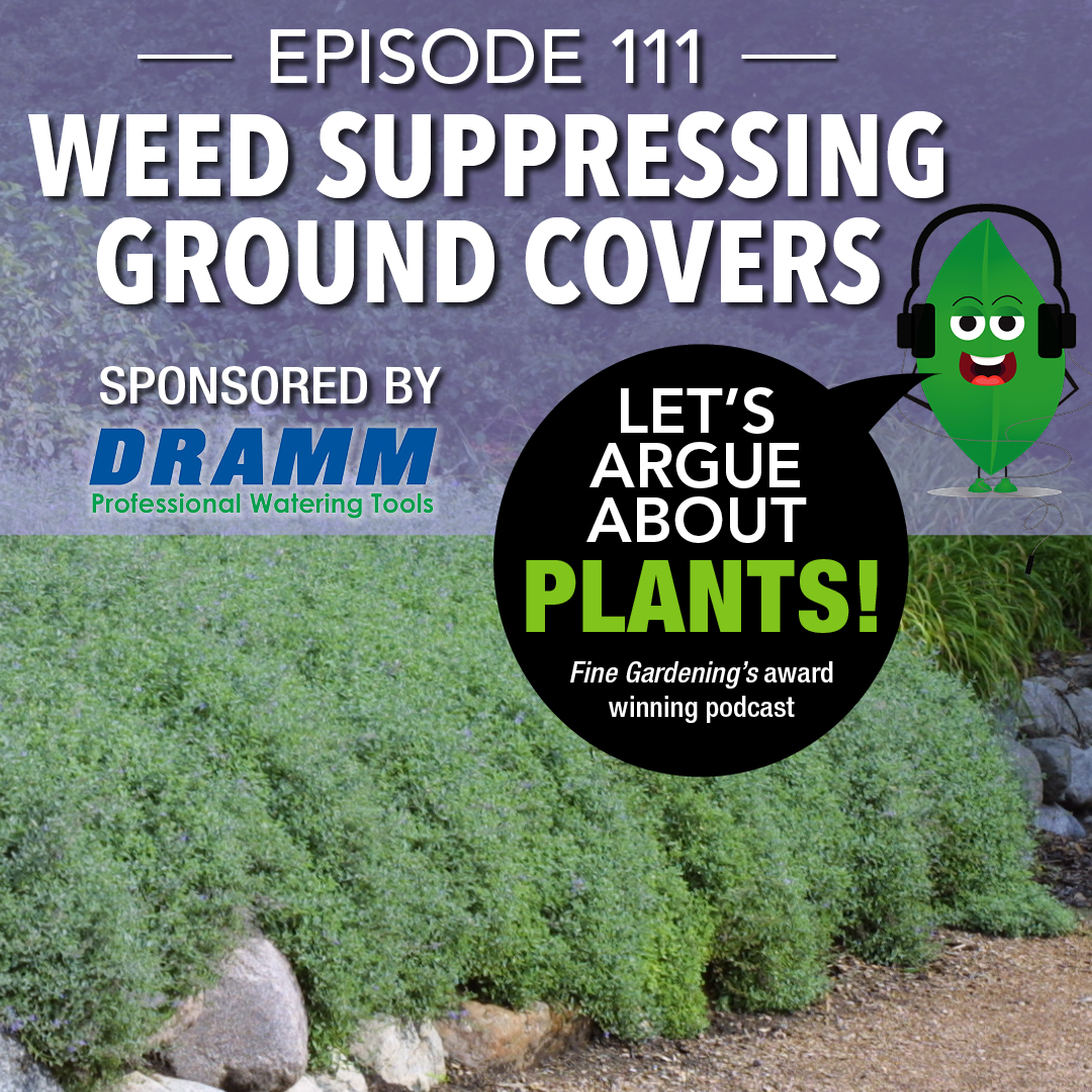 Episode 111: Weed Suppressing Ground Covers