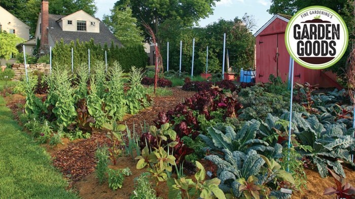 Essentials Tools for Your Veggie Garden