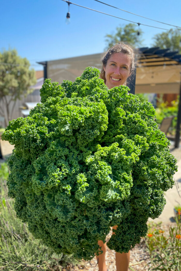 woman holding a large harvest of kale