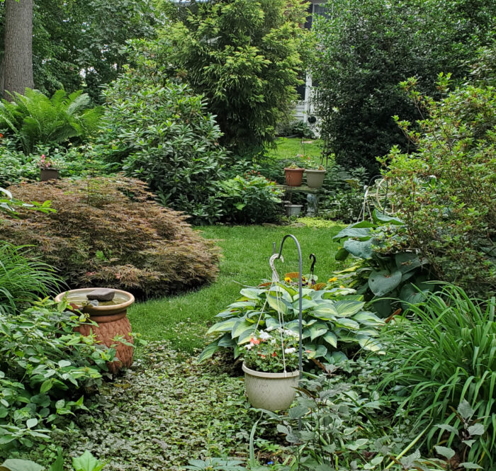 shade garden in spring