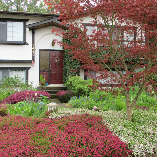 front yard garden with lots of flowers