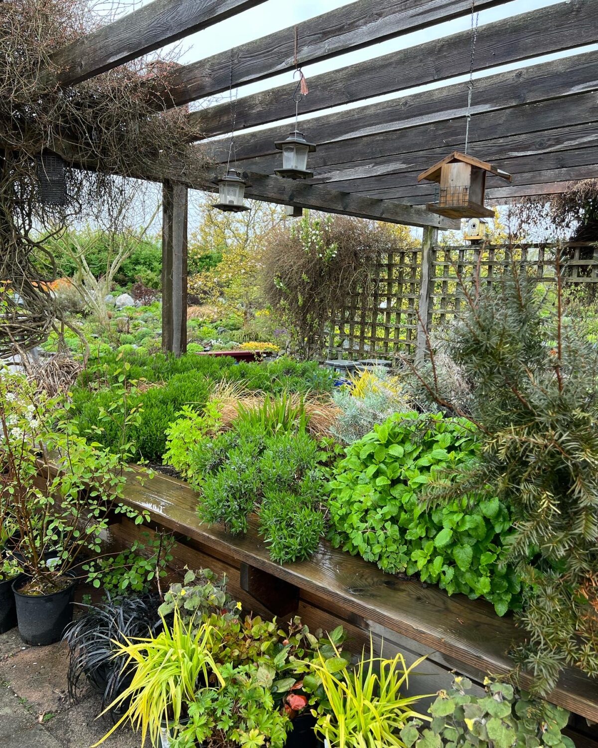 GPOD on the Road: Earthwise Garden - Fine Gardening