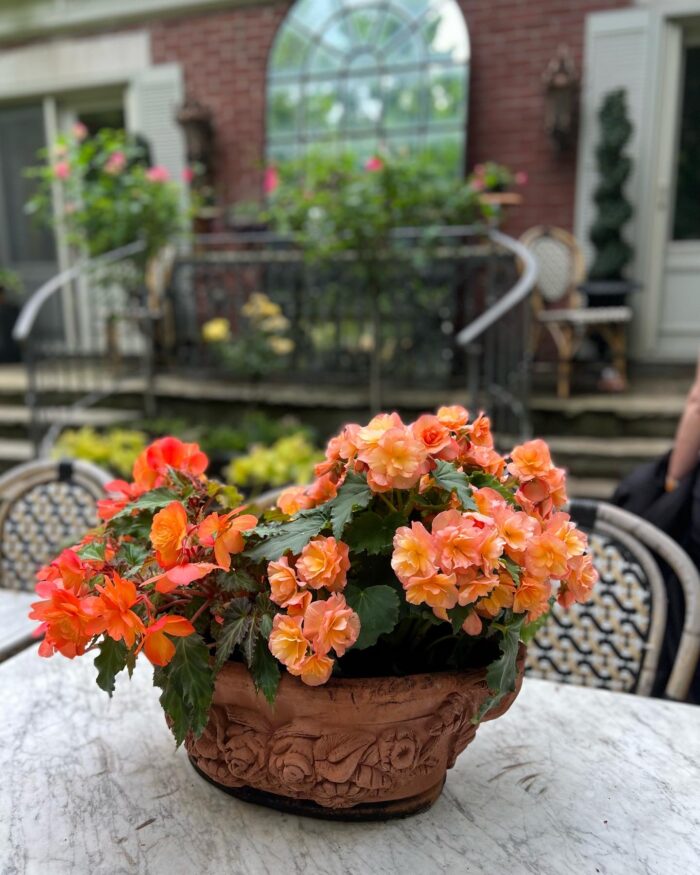 GPOD on the Road: Toronto Garden Tour - Fine Gardening