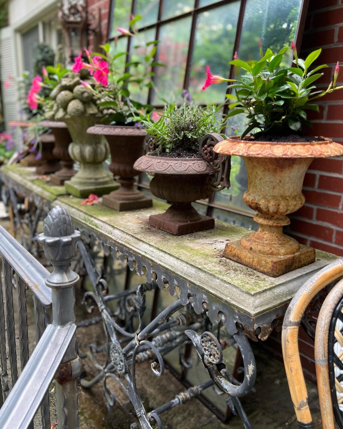 GPOD on the Road: Toronto Garden Tour - Fine Gardening