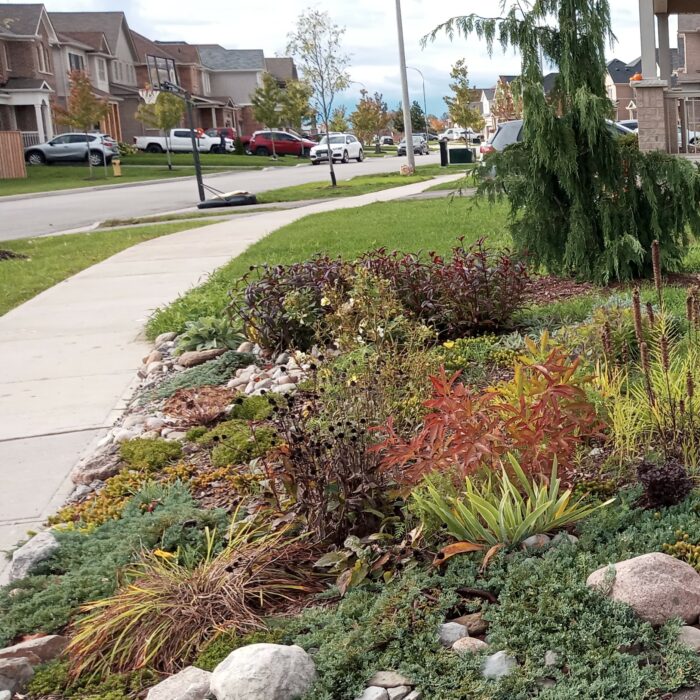 front yard garden in early fall