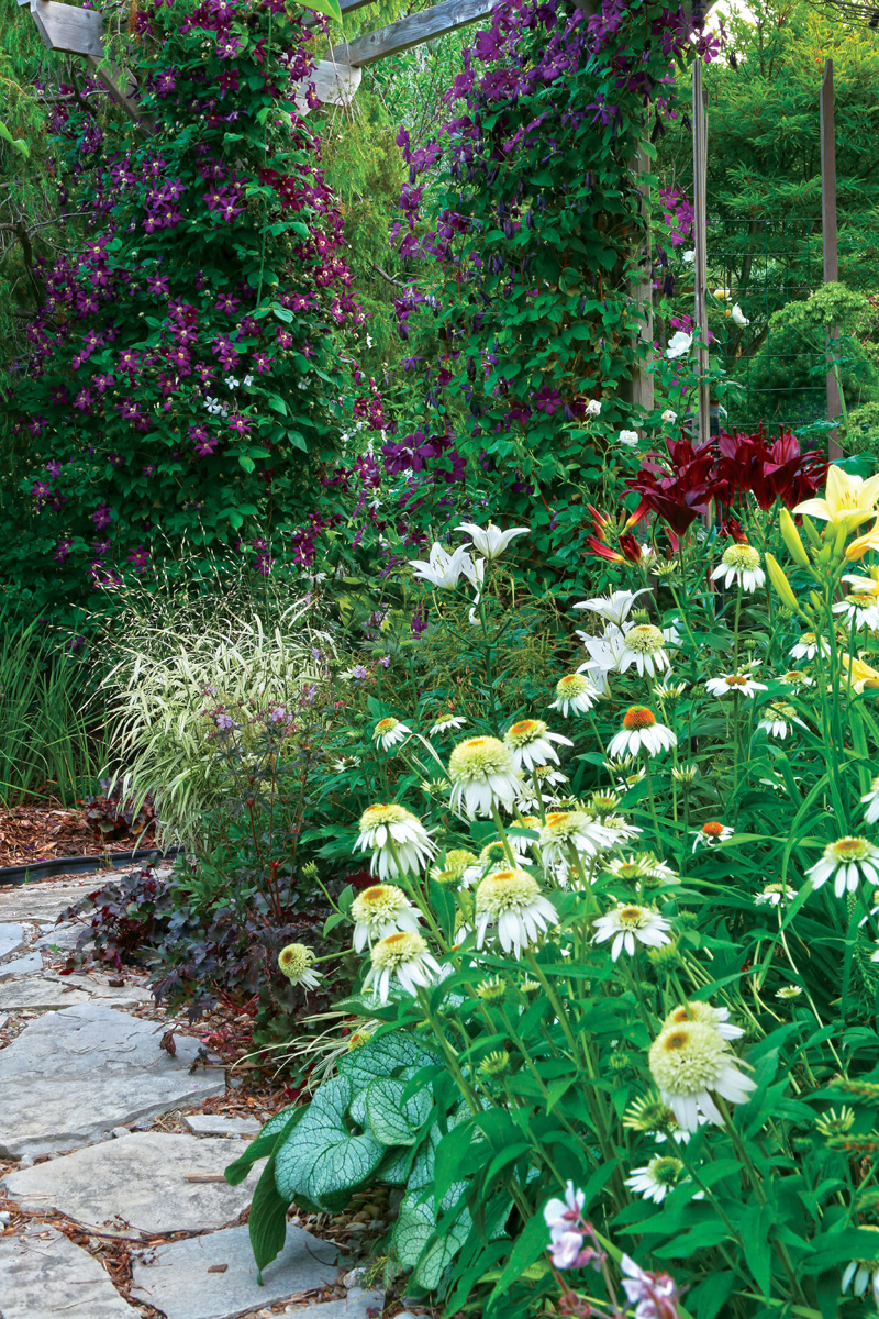 An experimental garden area with walkway and an array of colors