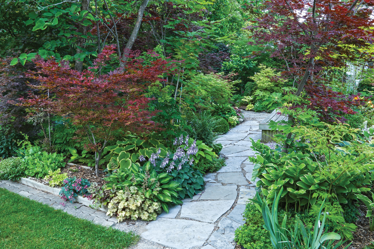 shady garden area with bench