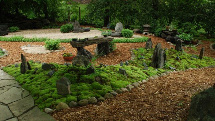 9 Types of Moss for a Colorful, Textural Garden