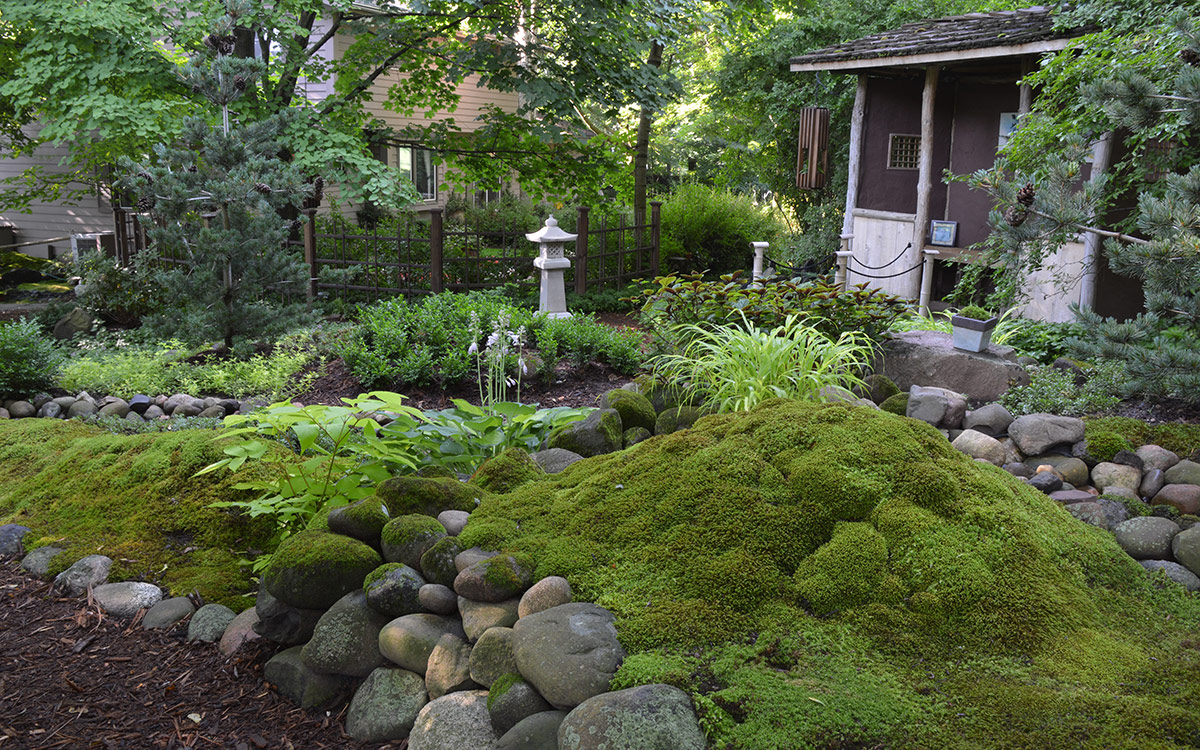 moss in garden beds