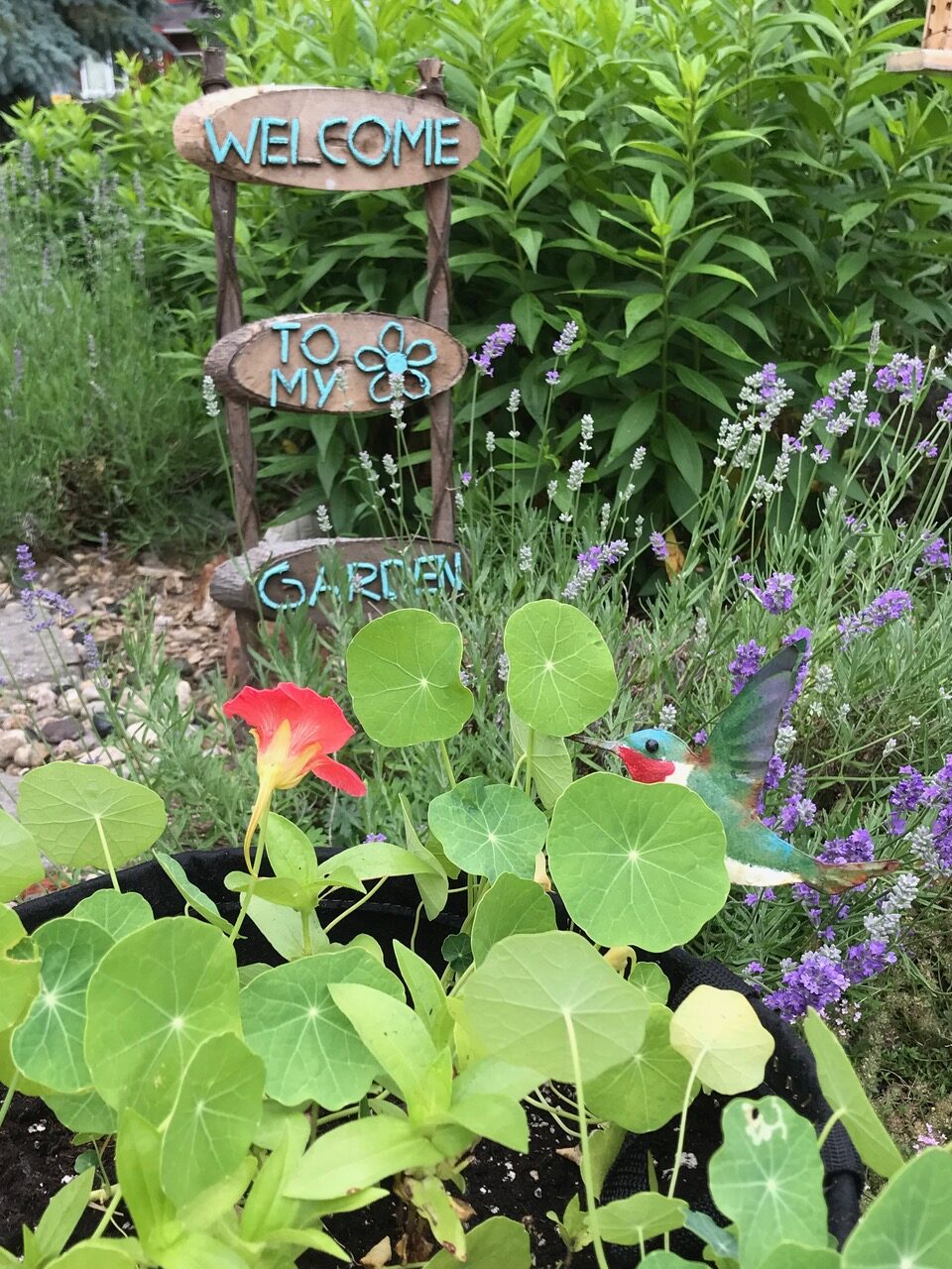 Nautical Table Decor - Garden Seeds and Honey Bees