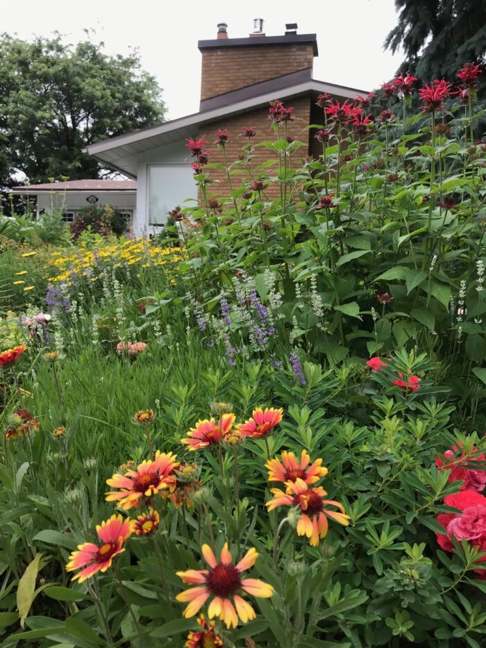 large garden bed full of colorful flowers