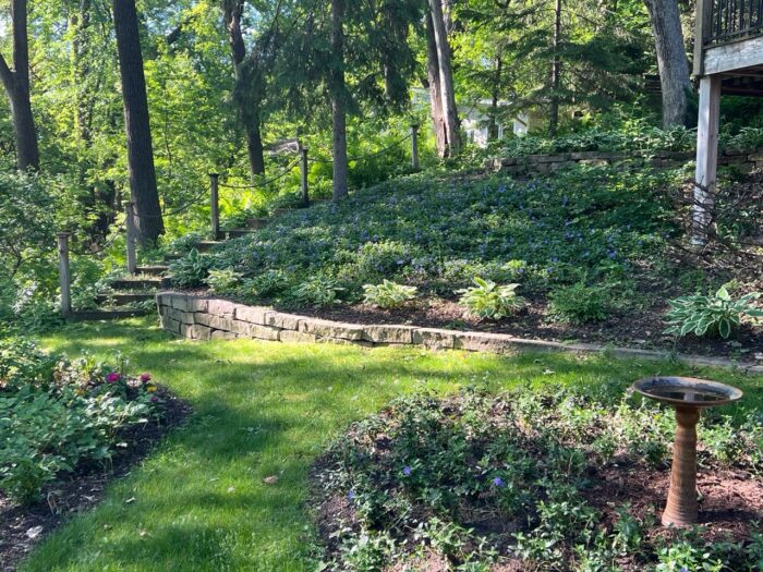 path leading to garden bed on a slope