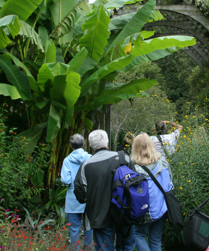 group of people walking through a garden