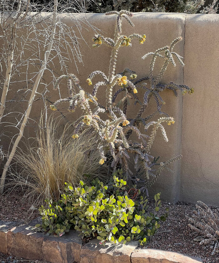 gardening in microclimates