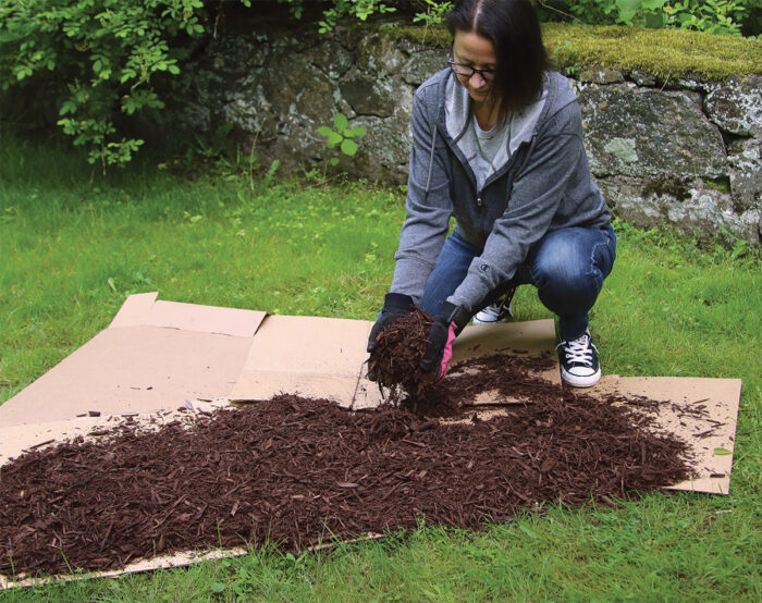 sheet mulching