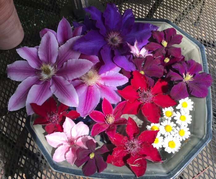 bowl of flowers floating in water