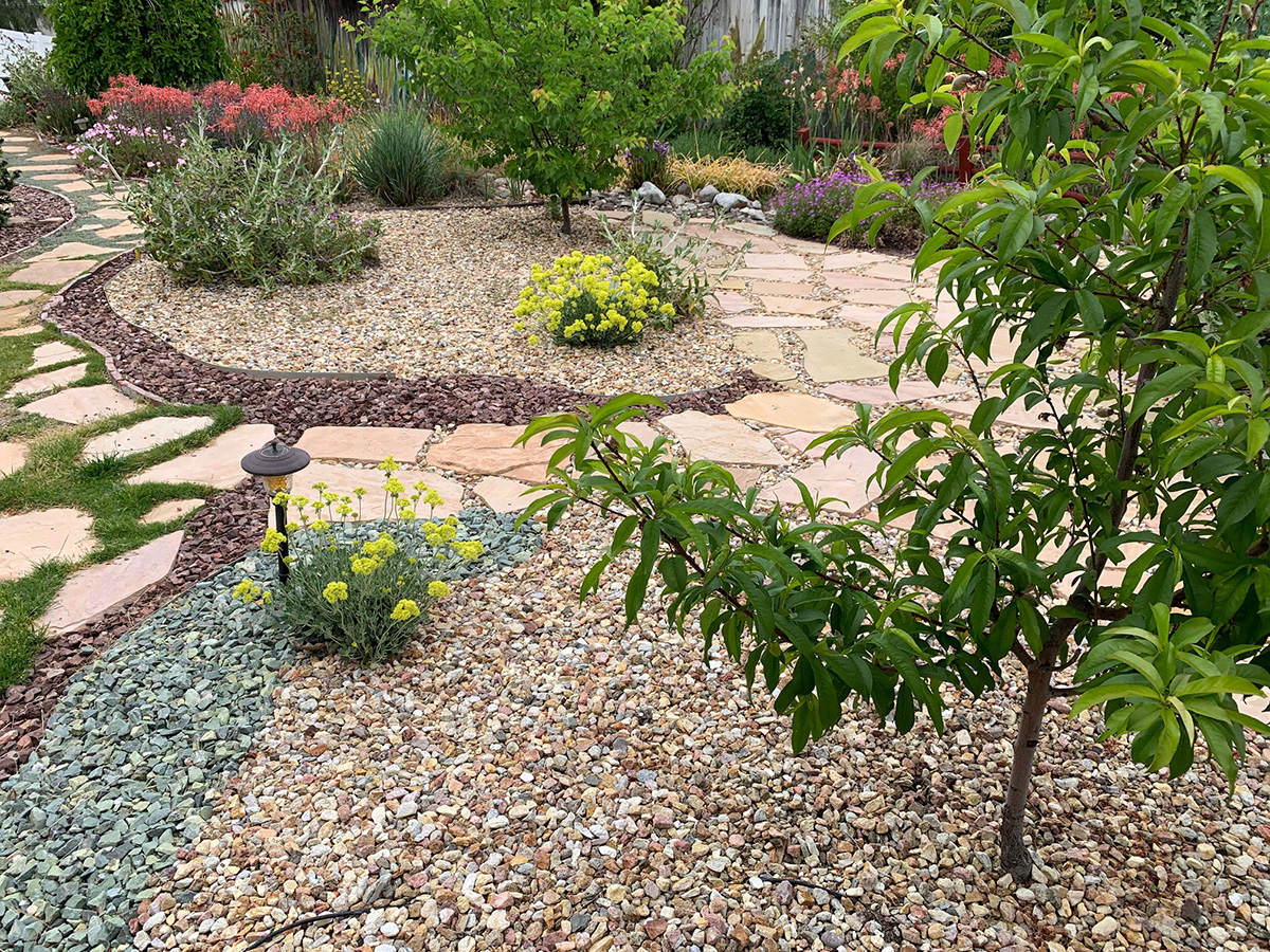 Uneven and sharp rocks scattered covering the ground