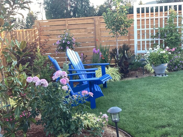 blue Adirondack chairs in front of garden beds along a wooden fence