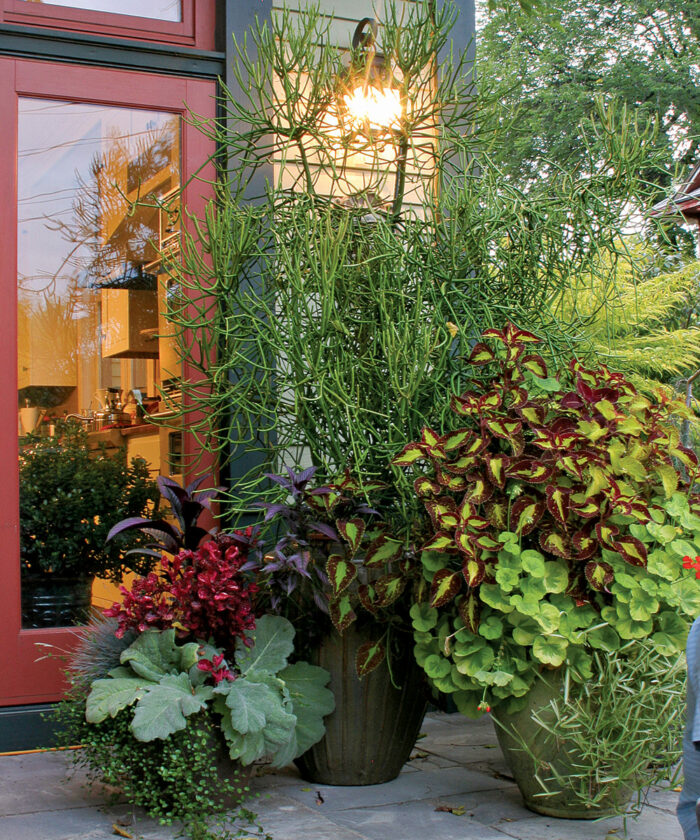 Key Container Entryway Designs for Entryway Containers - Fine Gardening