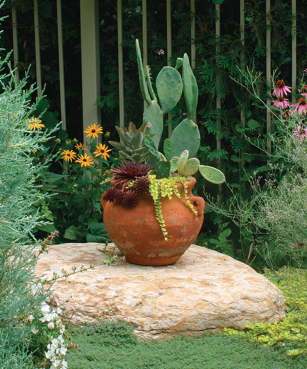 https://images.finegardening.com/app/uploads/2022/09/02135134/FGSIP27-focal-point-container-21.jpg