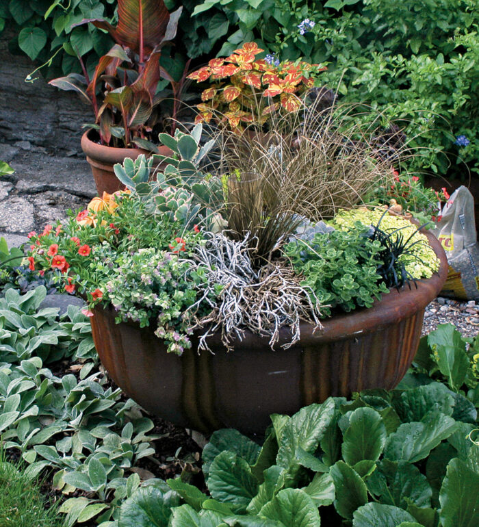 Containers for Borders, Paths, and Edges - FineGardening