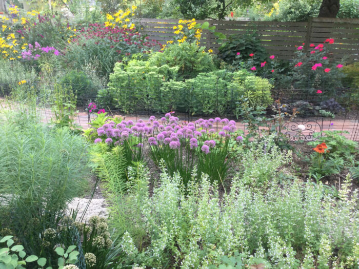 garden beds with pink, purple, and yellow flowers