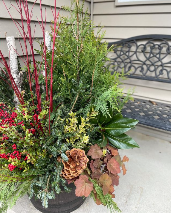 Container Planting Inspiration From Katie - Fine Gardening