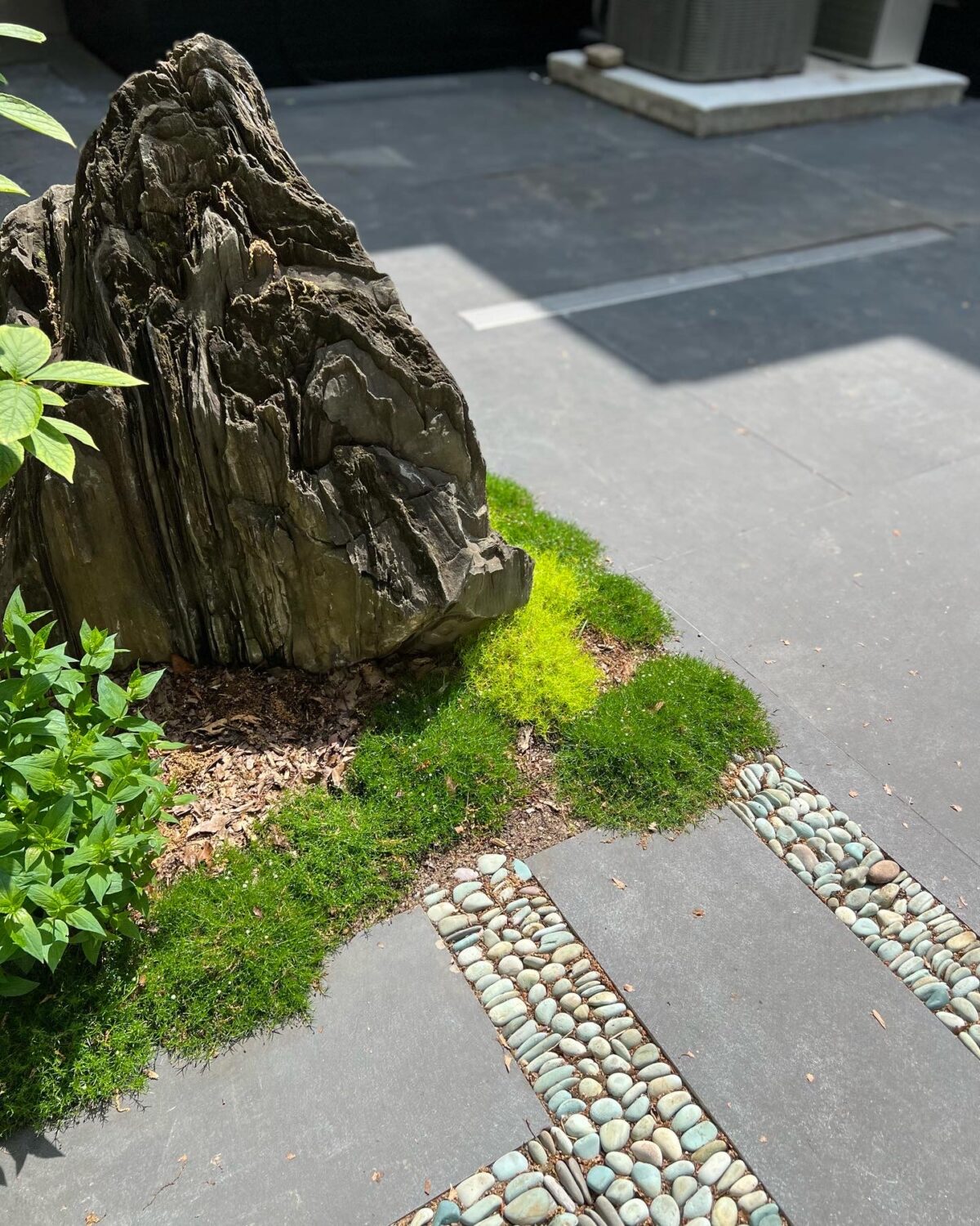 GPOD on the Road: Garden Tour in Toronto - Fine Gardening