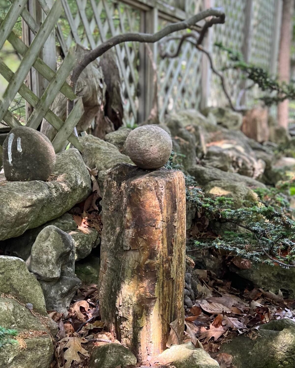 GPOD on the Road: Garden Tour in Toronto - Fine Gardening