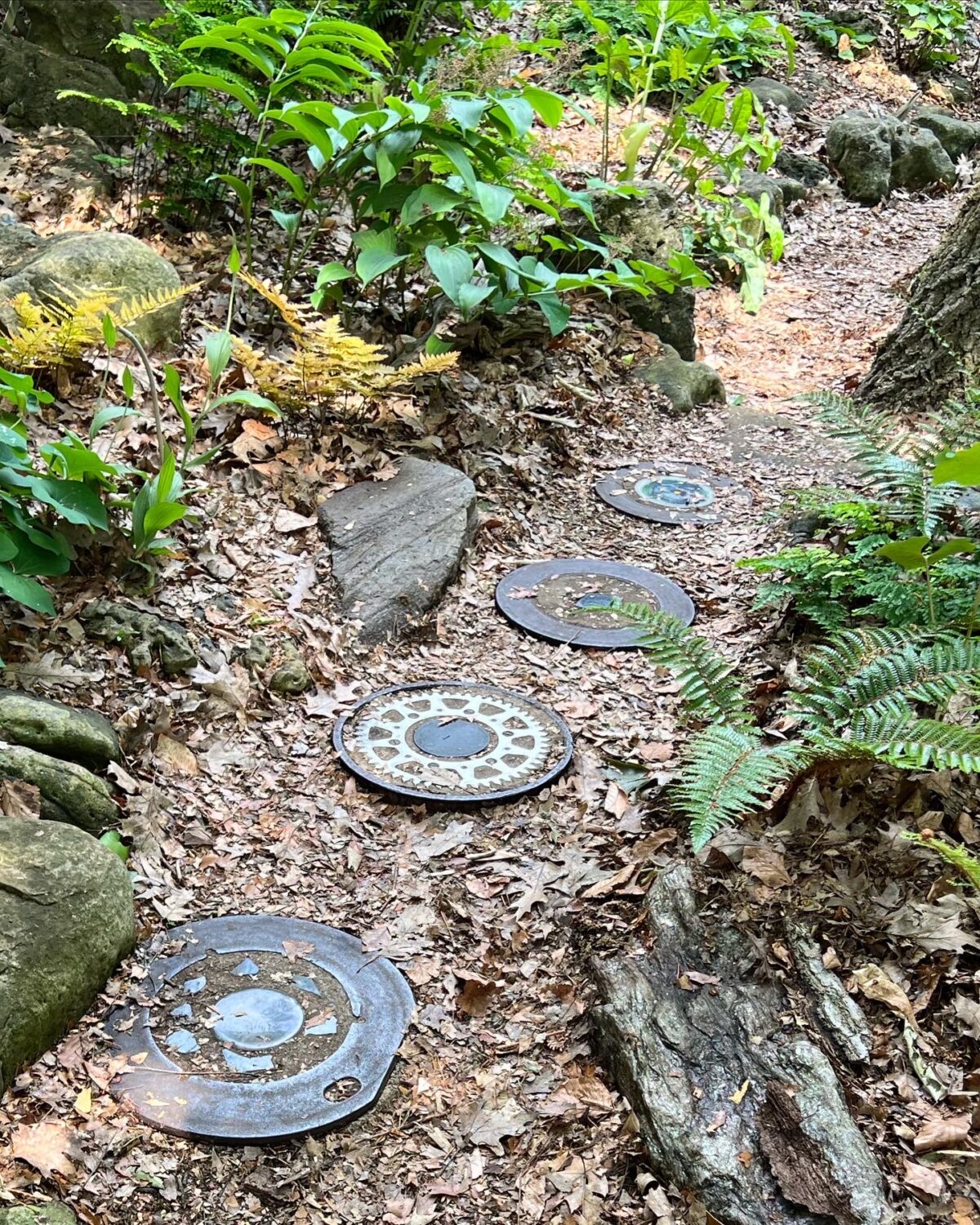 GPOD on the Road: Garden Tour in Toronto - Fine Gardening