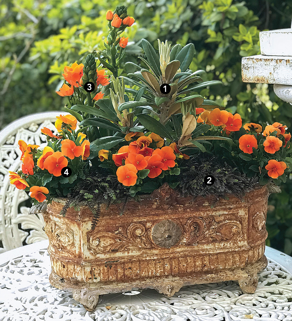 large planters with ivy pedestal