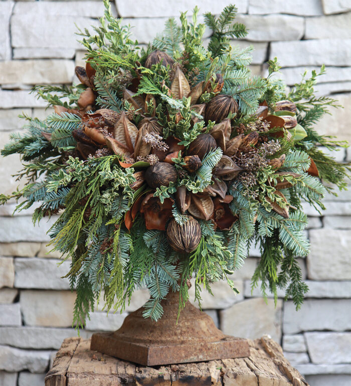 Create a Sturdy Winter Container Arrangement Fine Gardening