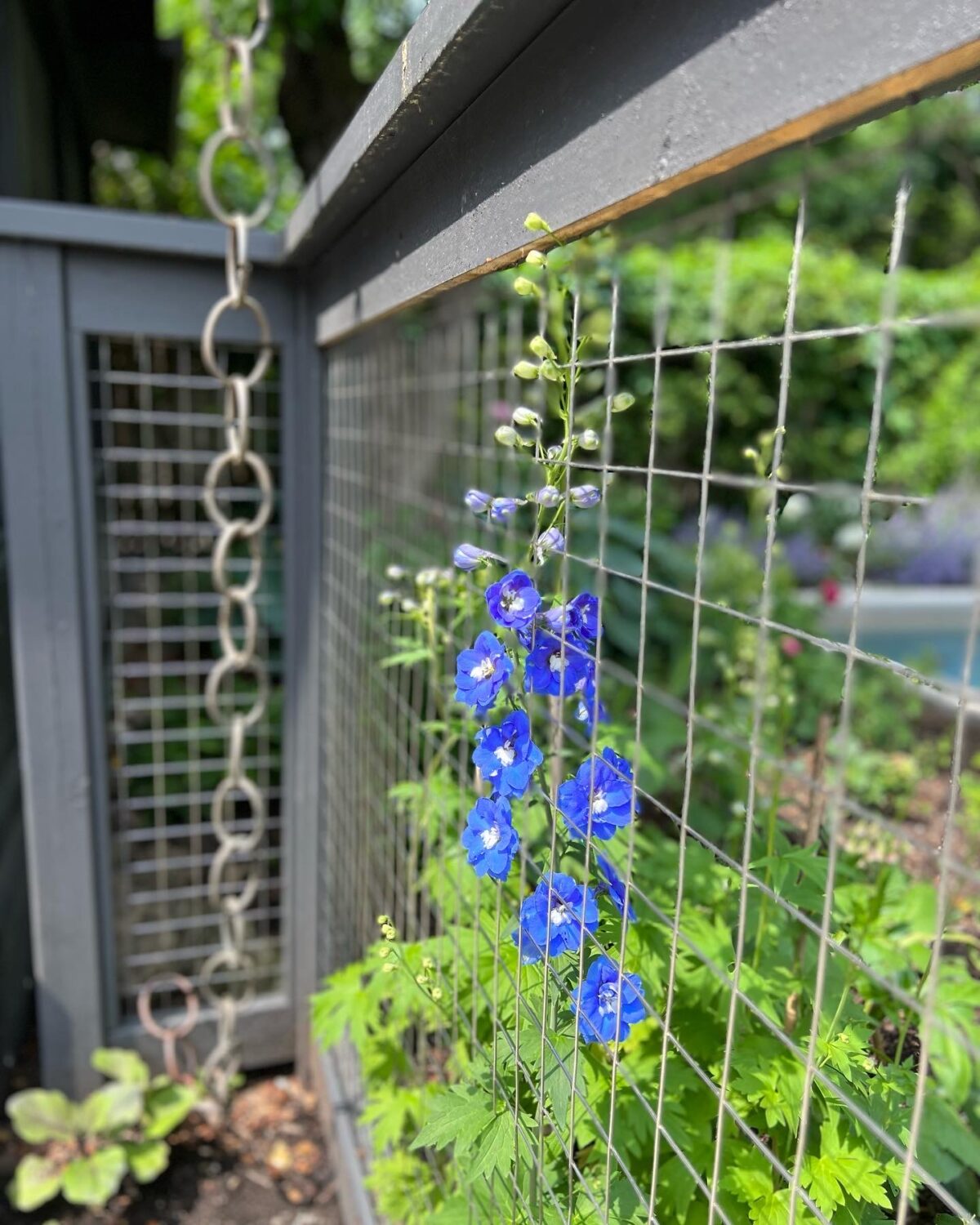 GPOD on the Road: Garden Tour With Cherry - Fine Gardening