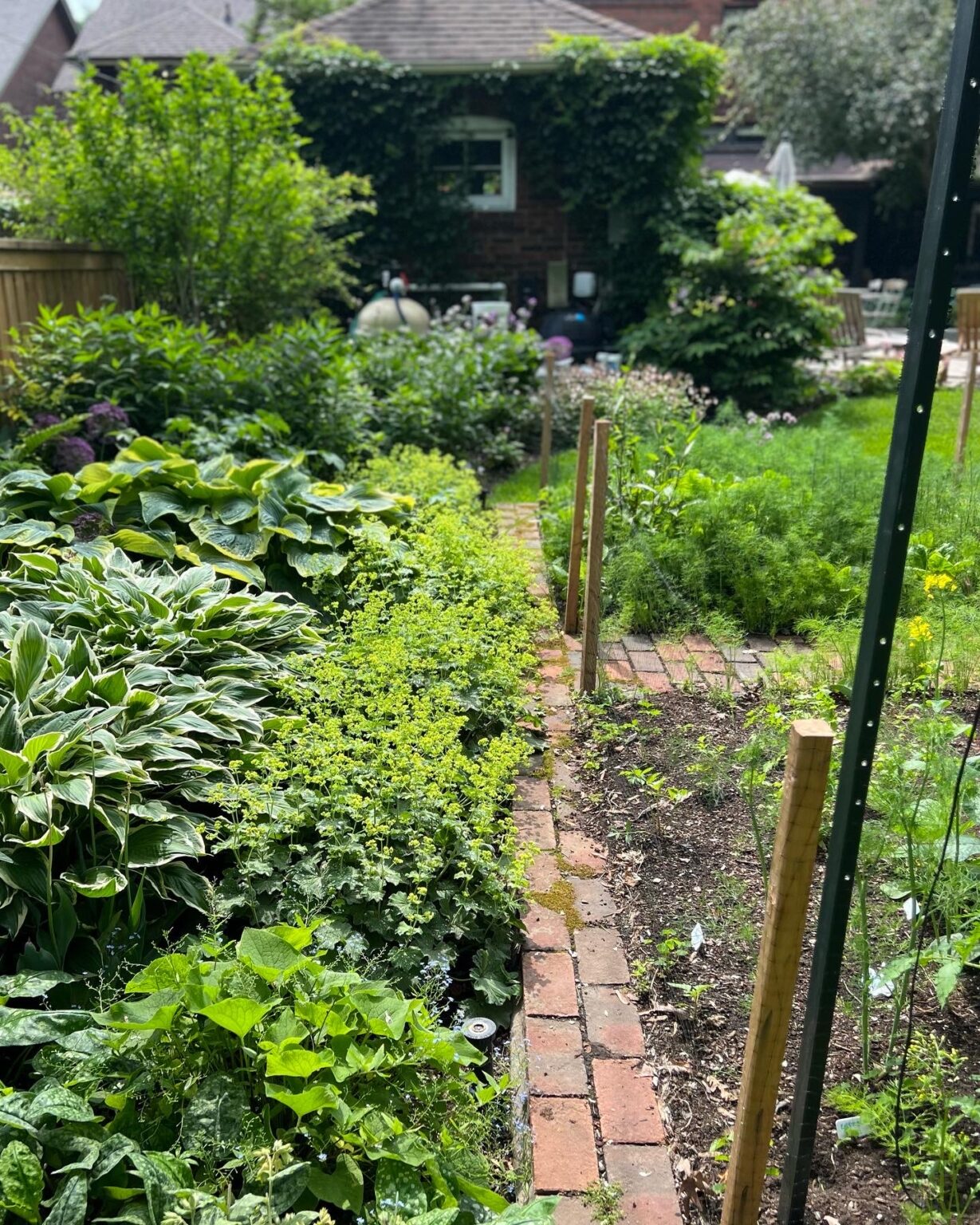 GPOD on the Road: Garden Tour With Cherry - Fine Gardening