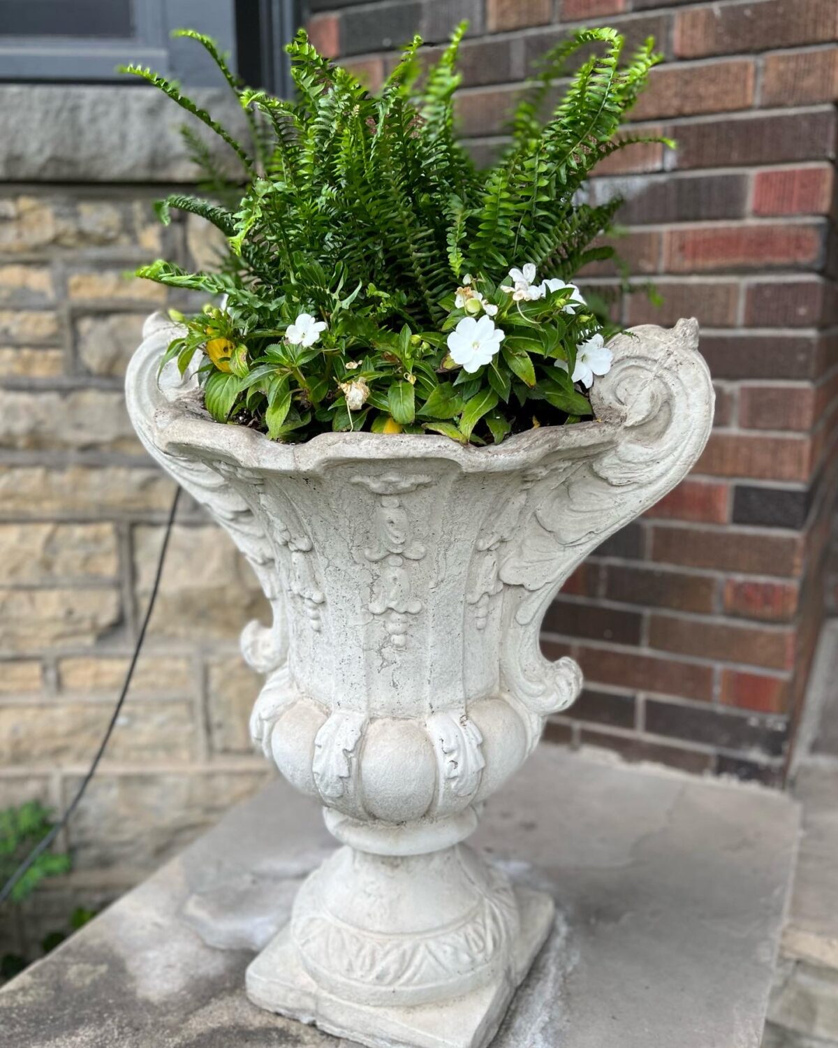 GPOD on the Road: Garden Tour With Cherry - Fine Gardening