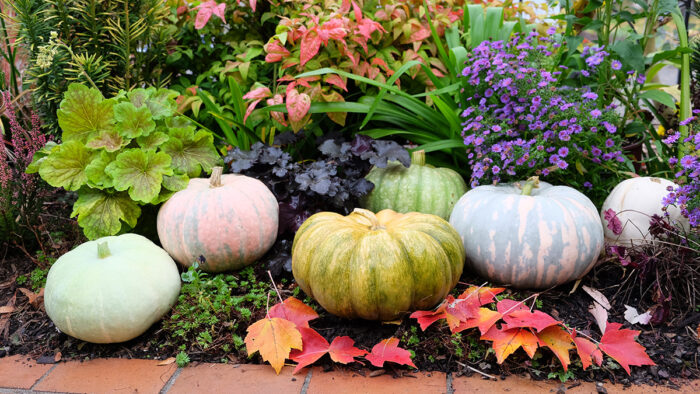 fall garden display with pumpkins